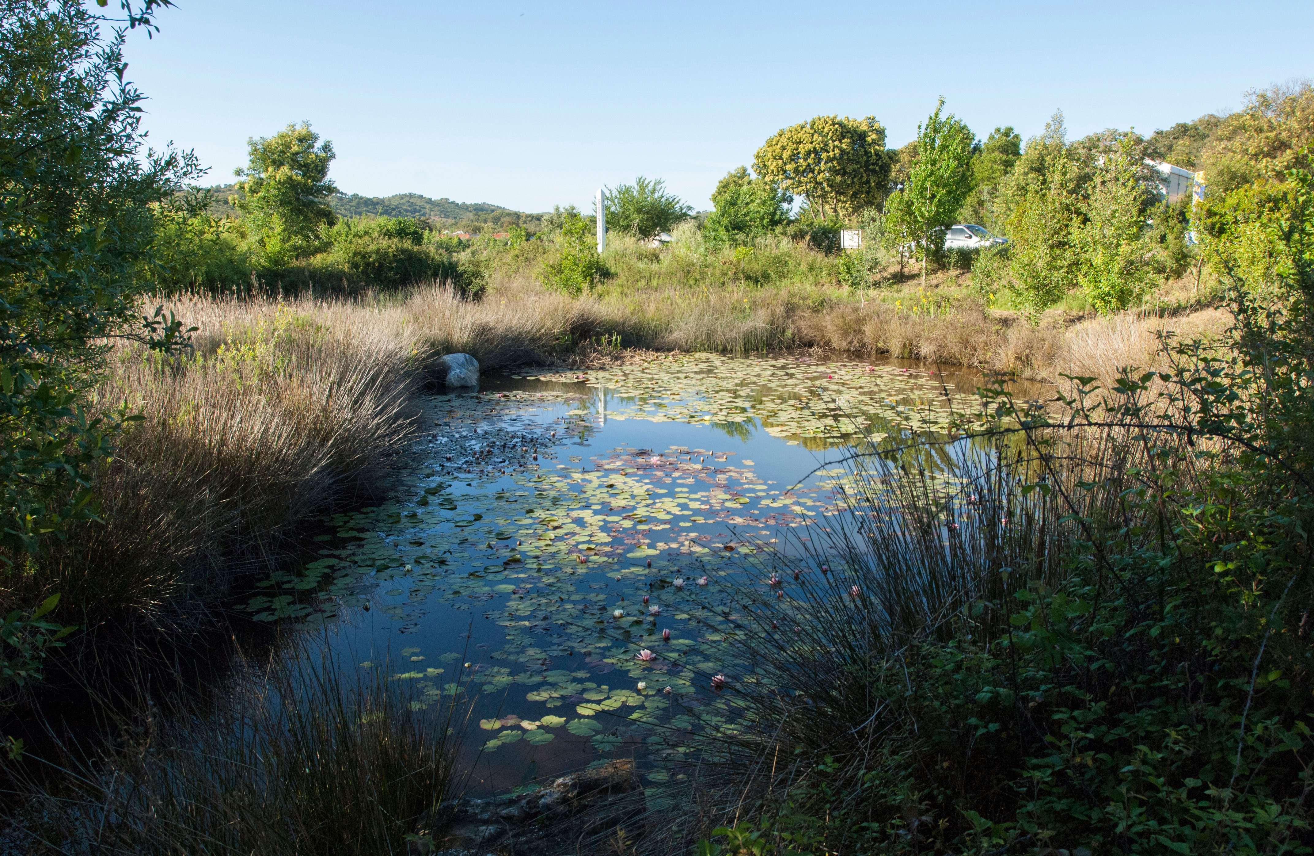 Water Retention Landscape