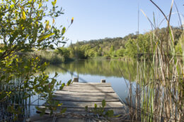 Valley Garden Lake
