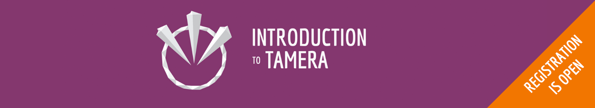 intro to Tamera banner online course registration open